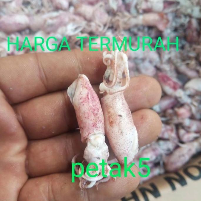 Kriuk- Cumi Asin Grosir 10Kg Sedang