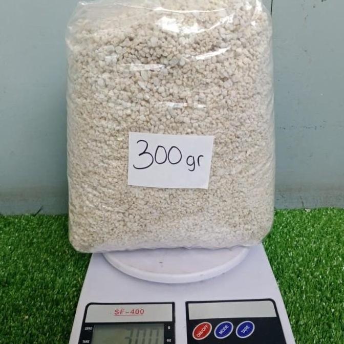 Newton- Perlite, Media Penetasan Telur, Ular, Gecko, Import, Inkubator,