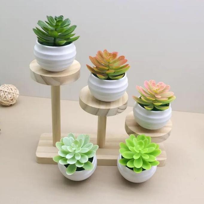 TANAMAN HIAS MINI | POT BUNGA HIAS MINI | TANAMAN HIAS PLASTIK KAKTUS MINI IMITASI