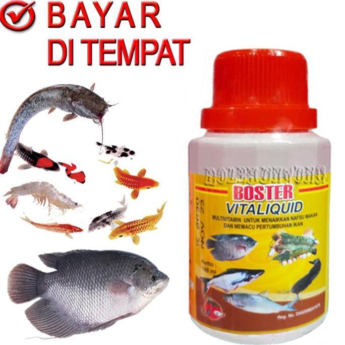 VITALIQUID BOSTER IKAN LELE PETIN GURAME NILA KOI LOBSTER VITAMIN PENGGEMUK