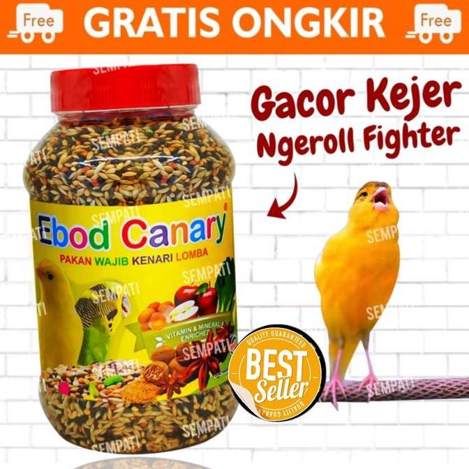 PAKAN KENARI EBOD TOPLES