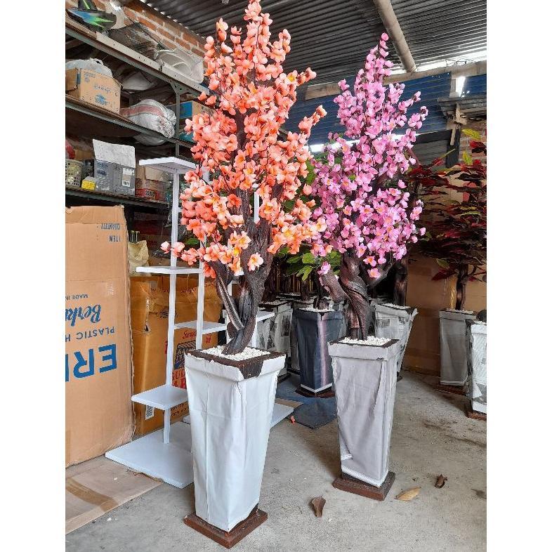 Bunga Sudut Sakura Jumbo / Bunga Hias Sakura Rimbun