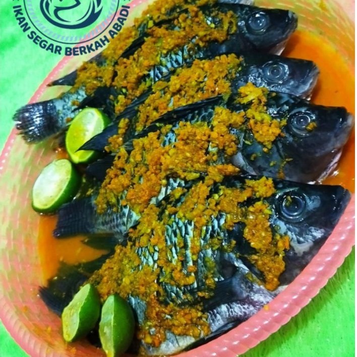 Ikan Mujair Segar Bumbu Kuning SIAP GORENG  500gr/1kg
