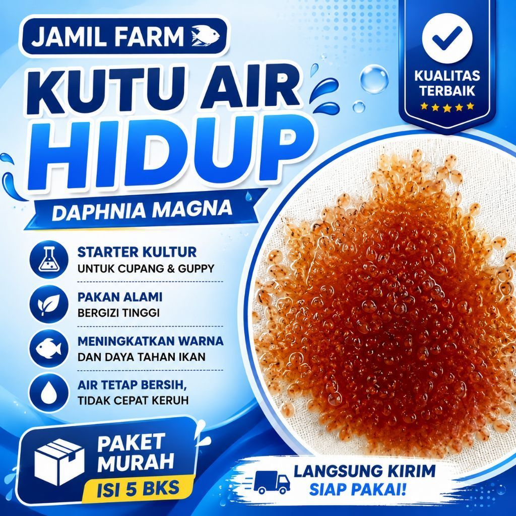 Paket Murah Kutu Air Daphnia Magna-starter pakan Cupang, Guppy, Channa | Bibit Kultur Ikan Hias