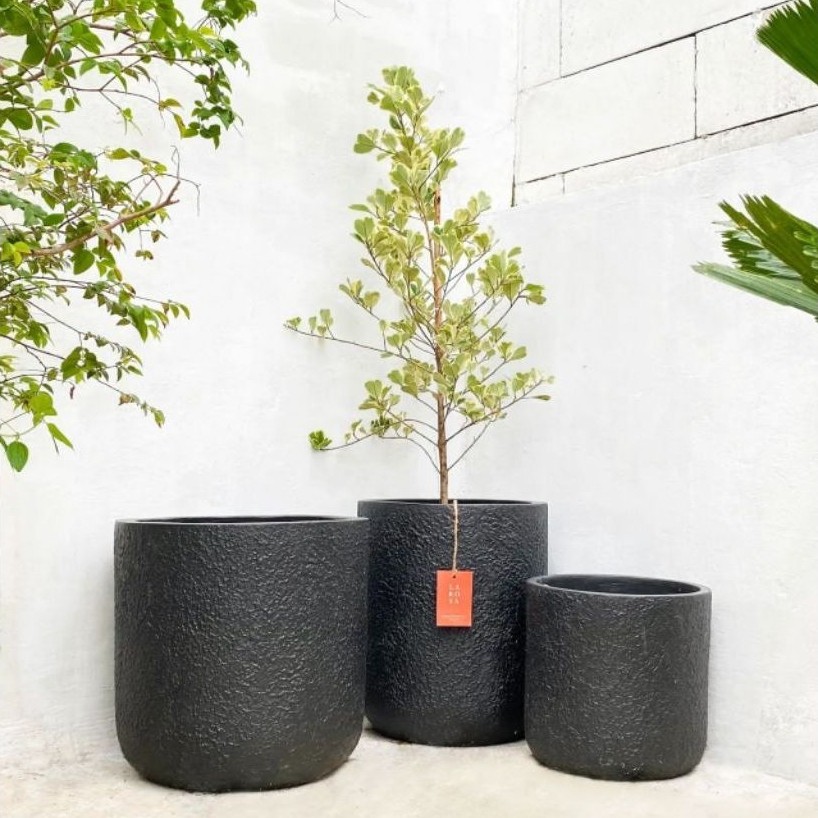 POT SEMEN TABUNG | Pot semen Estetik Minimalis Indoor Outdoor