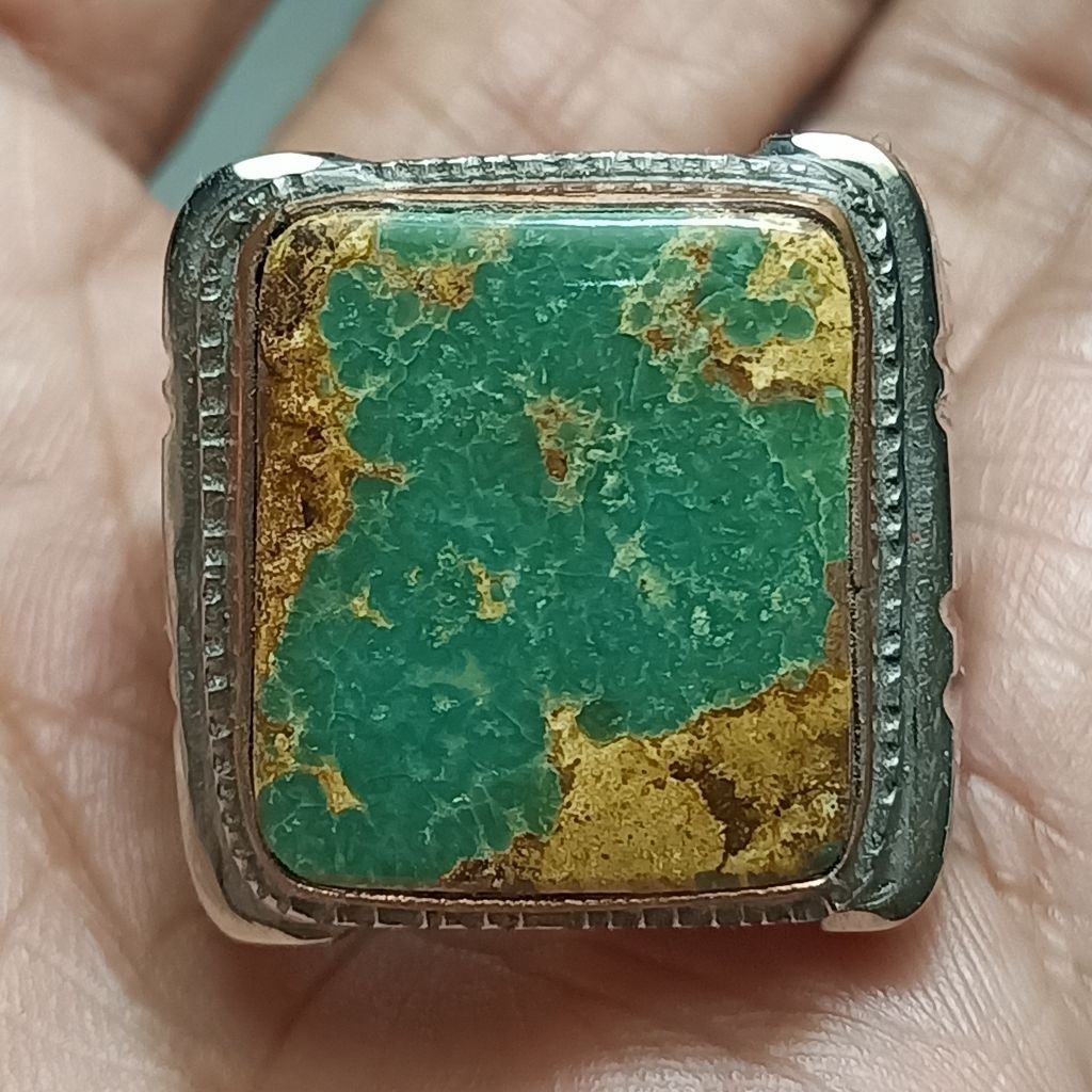 Pirus persia ijo kedondong serat mas