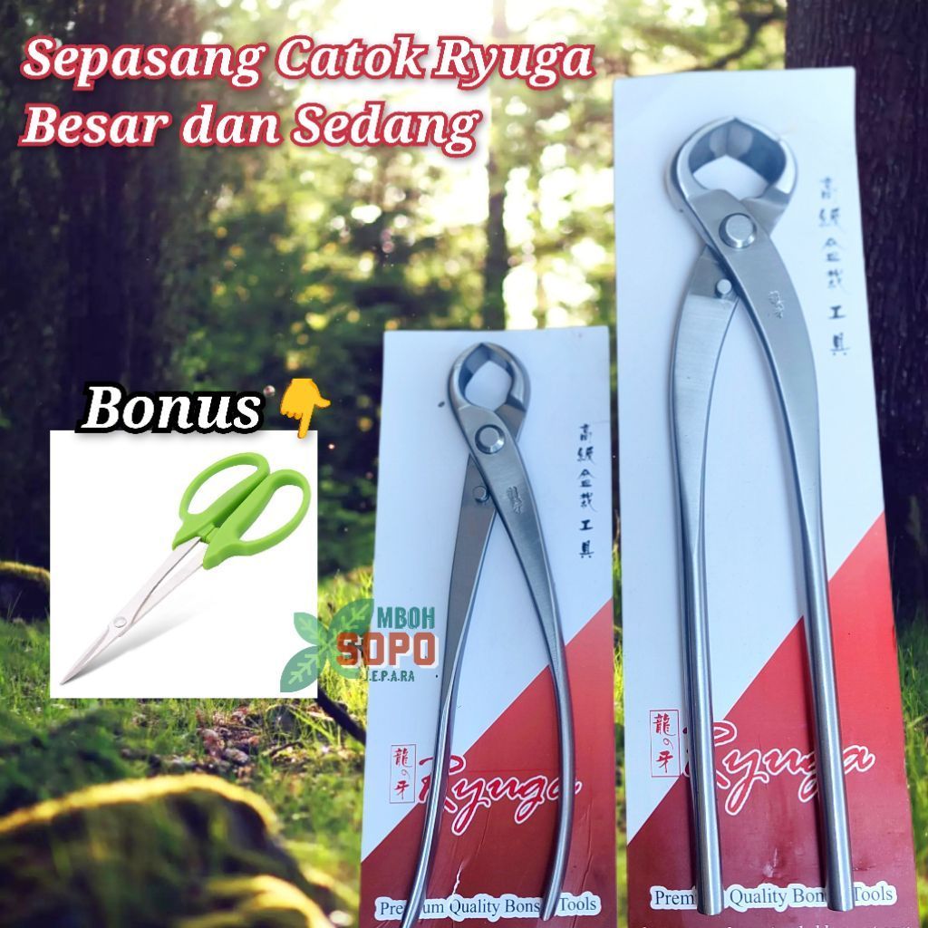 Alat Bonsai,  Sepasang Catok Ryuga Stenlis,  ukuran 21 cm dan 28 cm