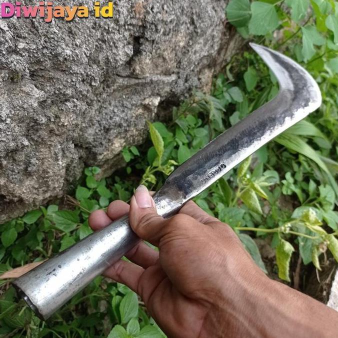 Sabit Arit Besar Parang Bedok Badik Pecok Tebang Tebu Bambu Dan Kayu (TERBAIK) (TERBARU) (TERMURAH)
