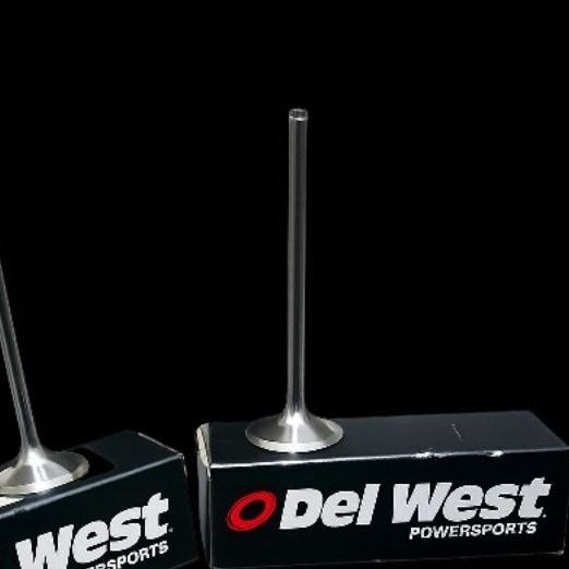 Klep Titanium Delwest Batang 5mm 31mm