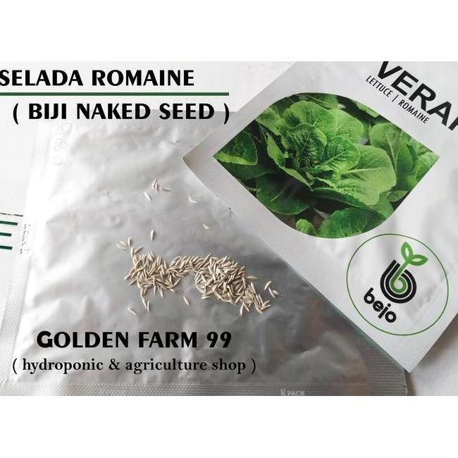 Benih Lettuce Romaine Verapas Bejo Seed