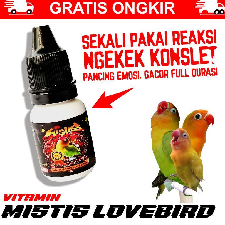 [BEST] VIT MISTIS LOVEBIRD | Vitamin Mistis Lovebird konlset | Lovebird Dewasa Baby Fighter