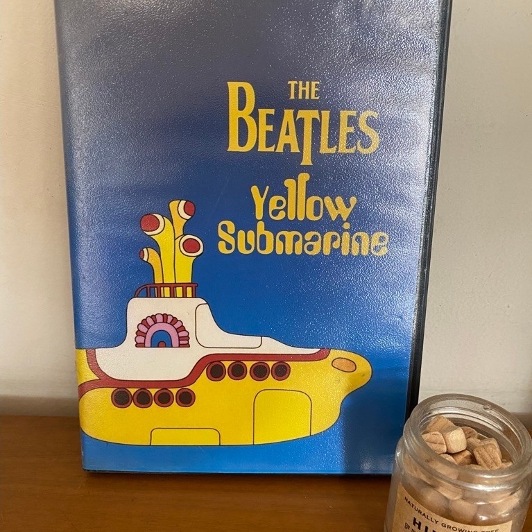 The Beatles Yellow Submarine DVD OG *rare*