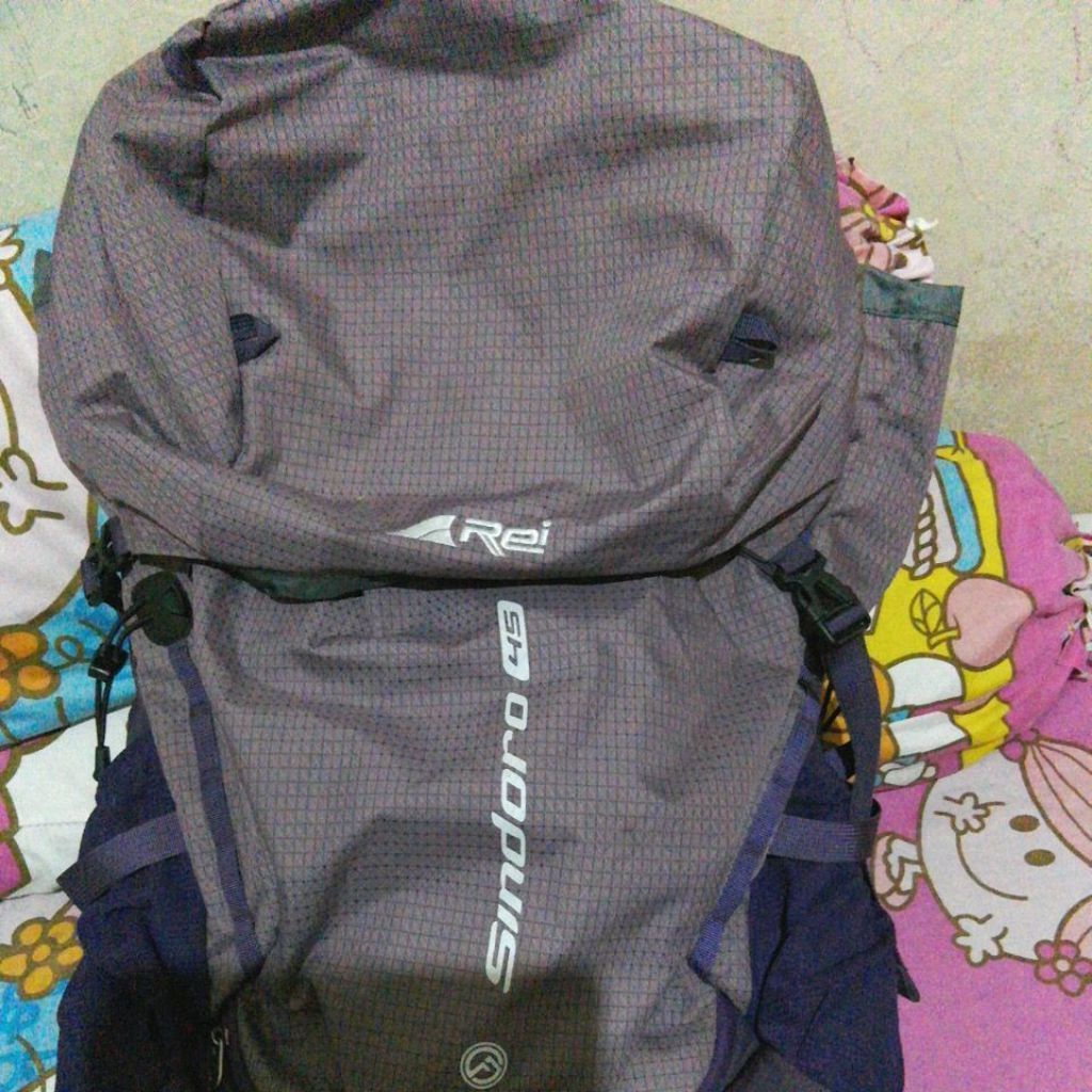 Carrier Arei 45L