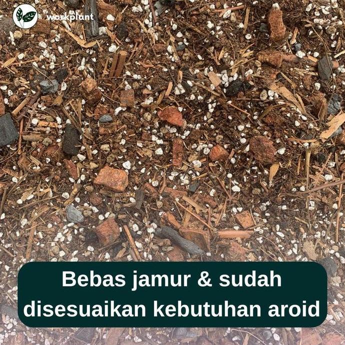 Promo Aroid Mix - Media Tanam Premium Tanaman Hias Aroid Diskon