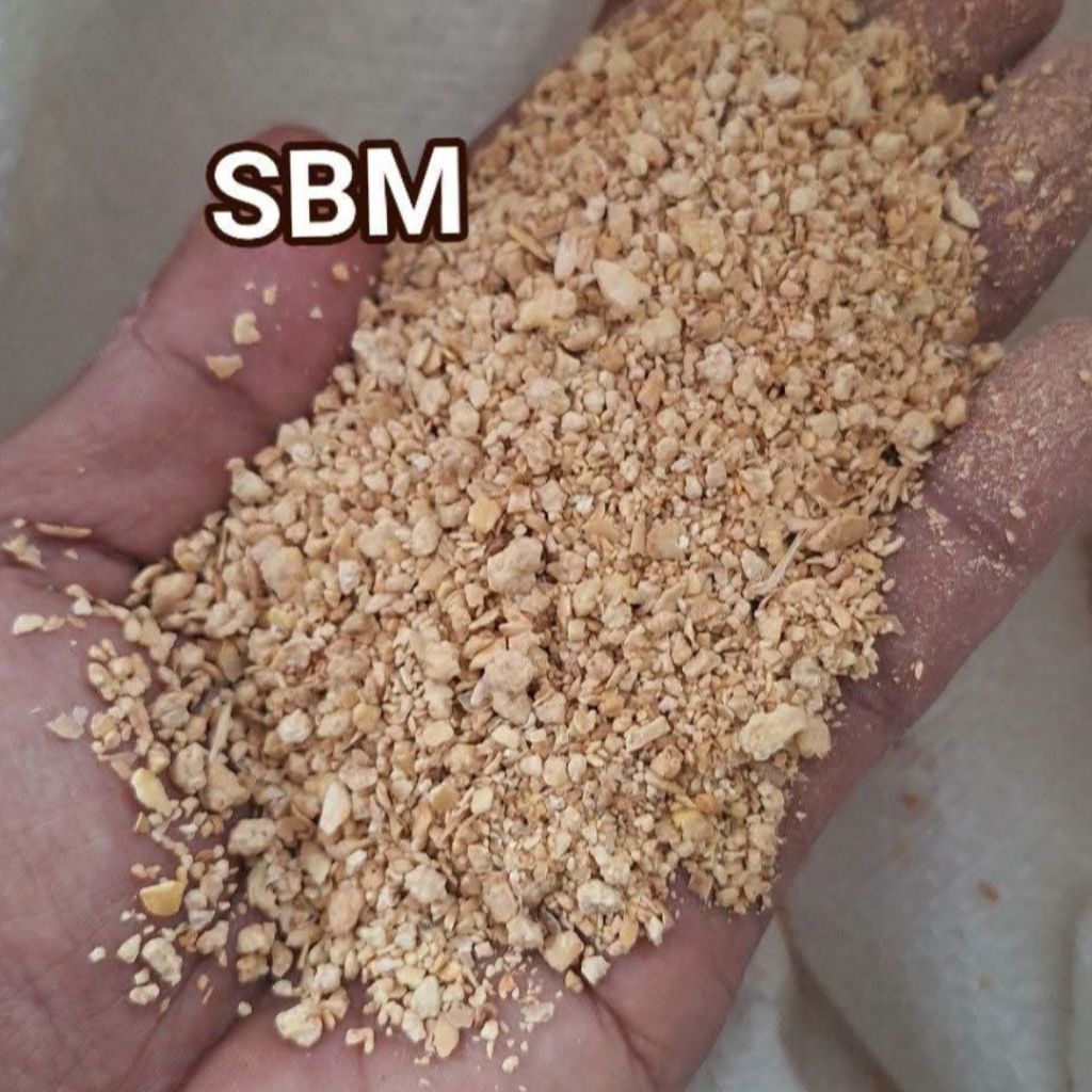 Paket 10 Kg BKK/SBM Bungkil Kedelai Argentina Tinggi Protein