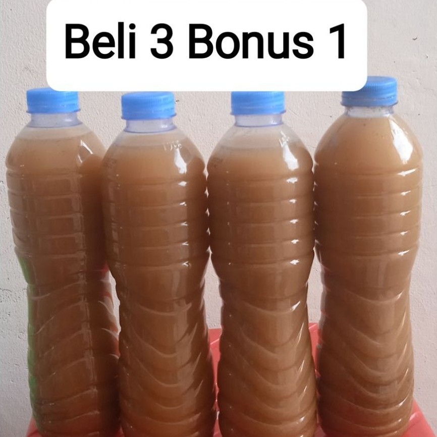 pakan kutu air moina daphina