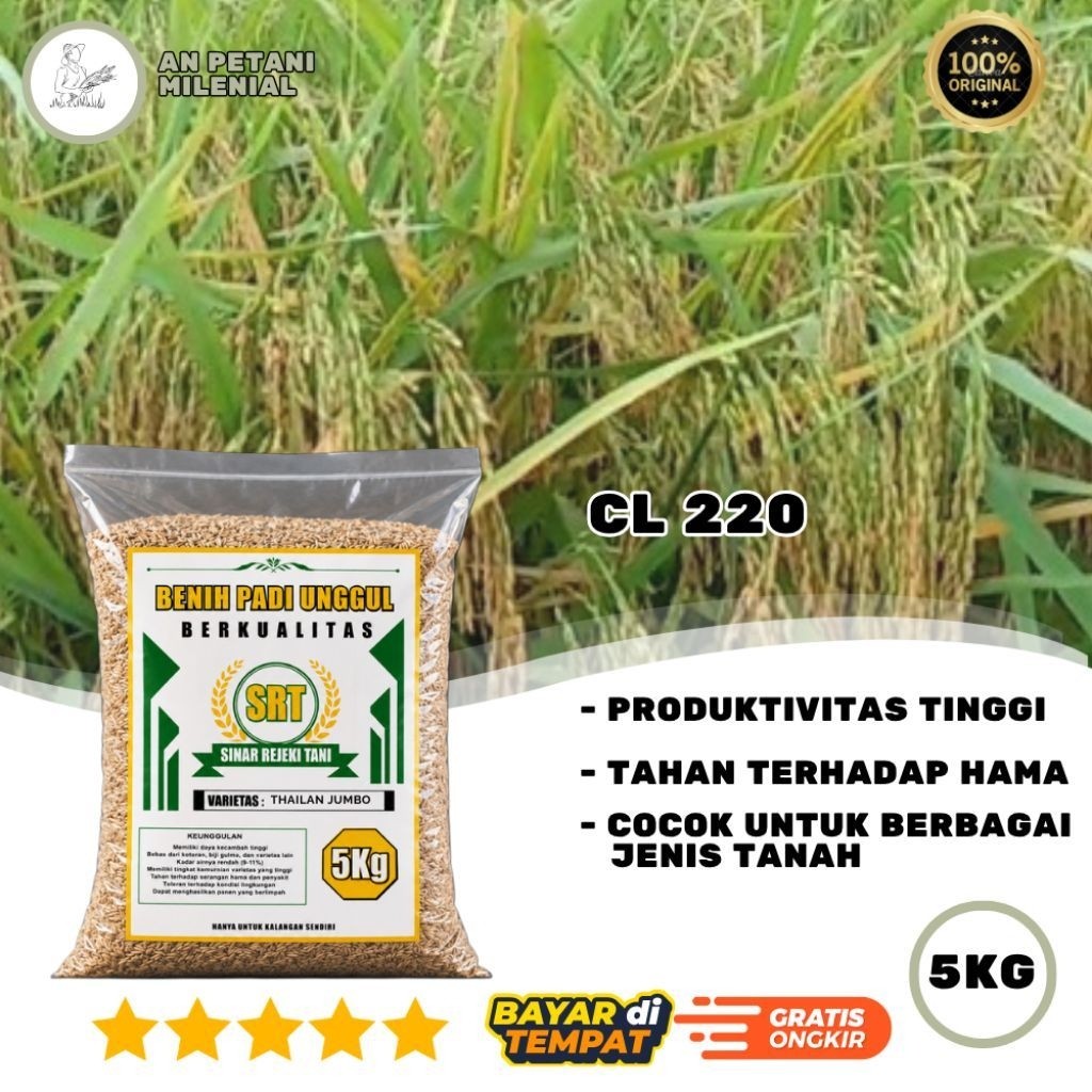 Benih Padi Bibit Padi CL 220 Original Kemasan 5 Kg