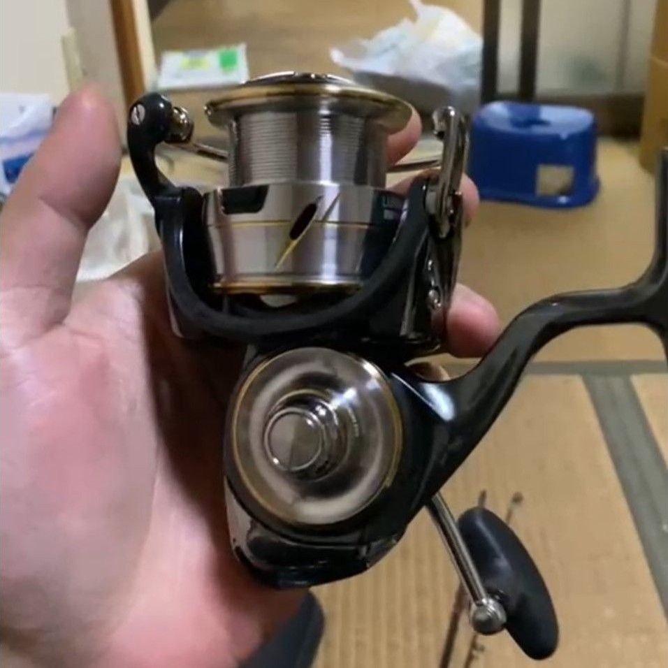 Daiwa luvias 2020