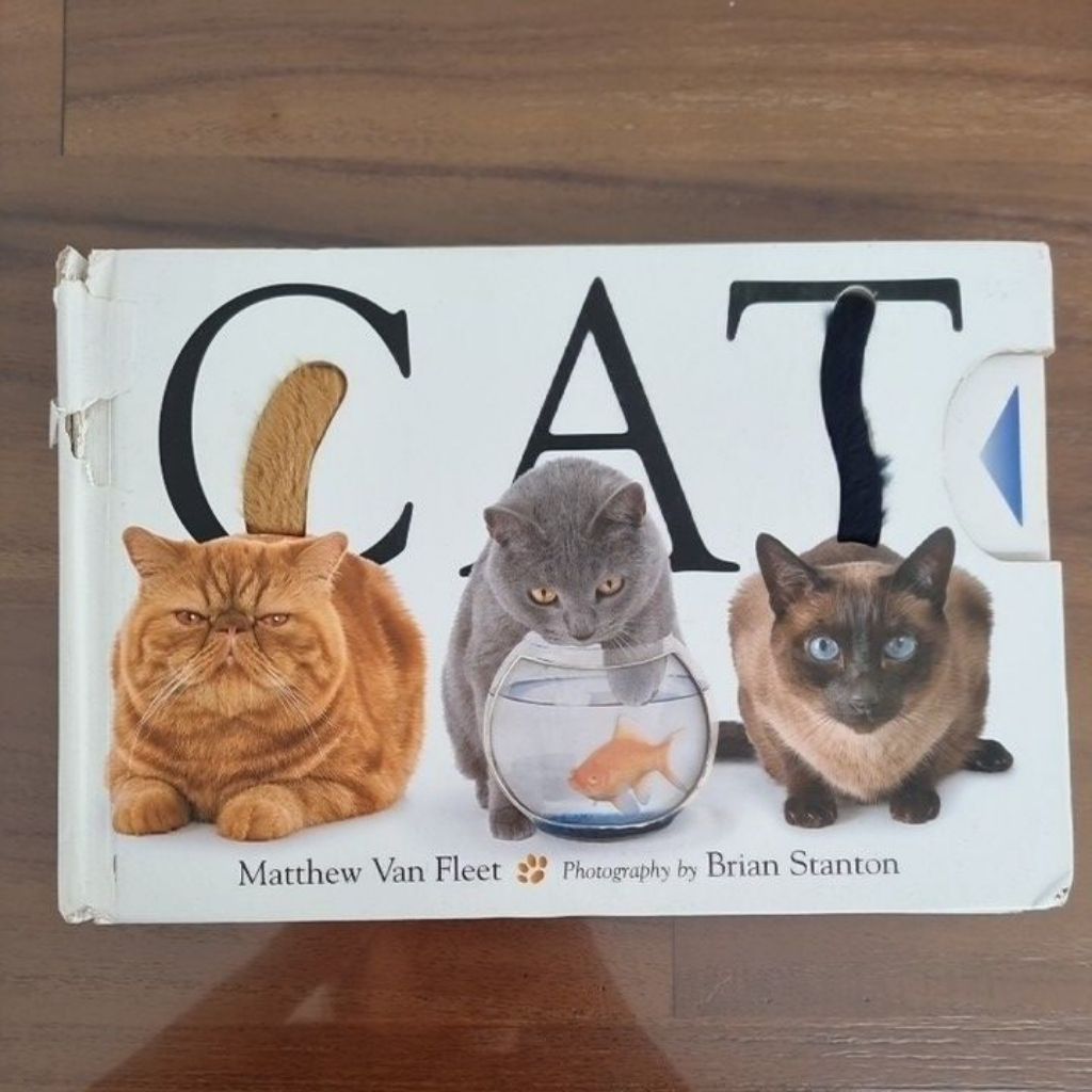buku anak CAT by matthew van fleet preloved