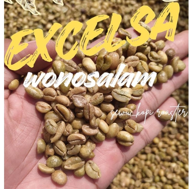 biji kopi/green bean Excelsa wonosalam,Natural peroses 1kg.