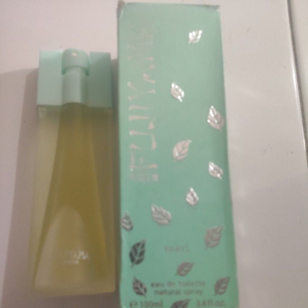 Parfum Unisex Fujiyama Green 100ml EDT - Original