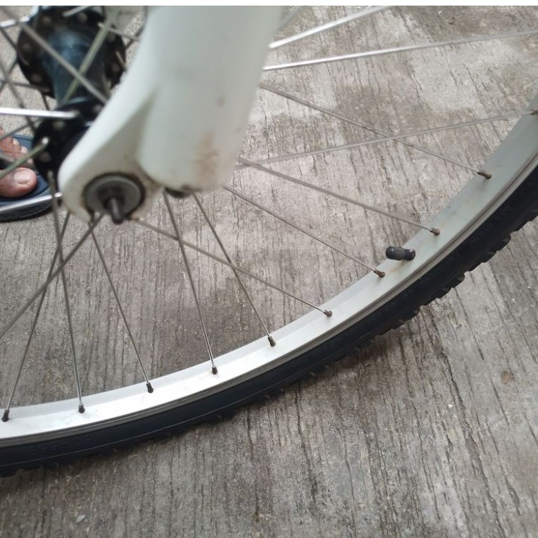 sepeda mtb polygon cleo second
