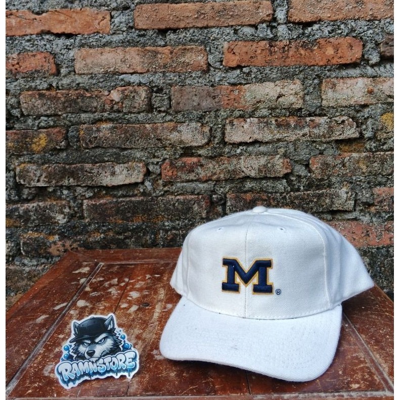 topi sports specialties x michigan wolverines