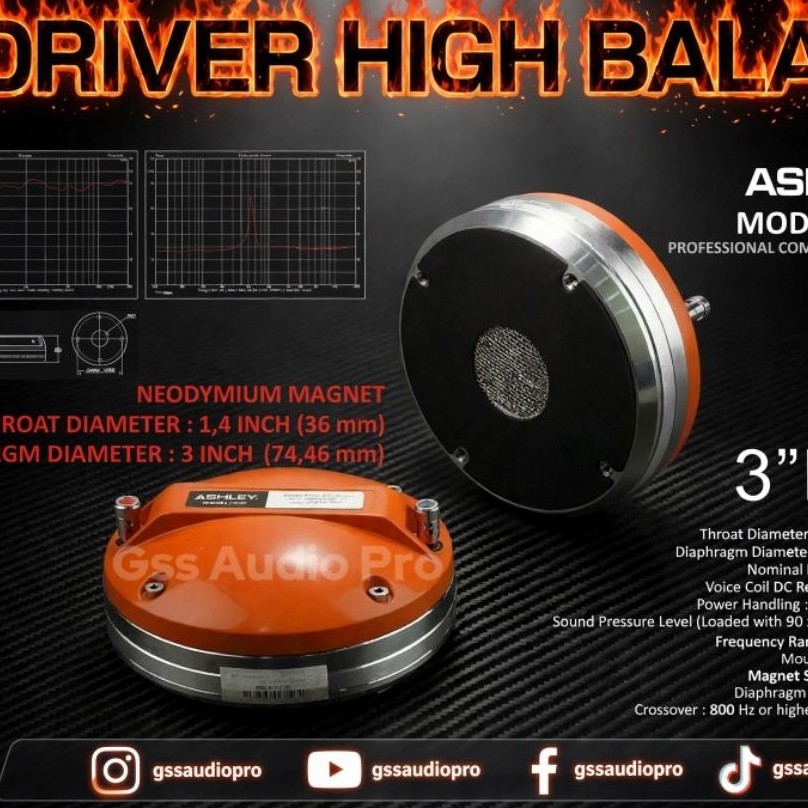 Driver Tweeter Ashley N300 Neodymium