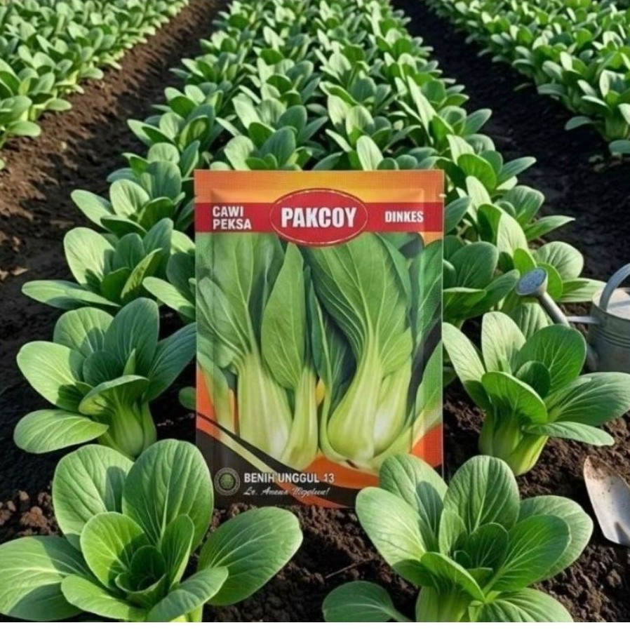 Benih bibit Pakcoy Hijau 10 gr