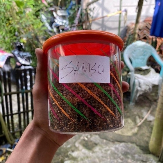 ekstrak daun QUEEN BEE 234,L4,SUPER kemasan 100gr