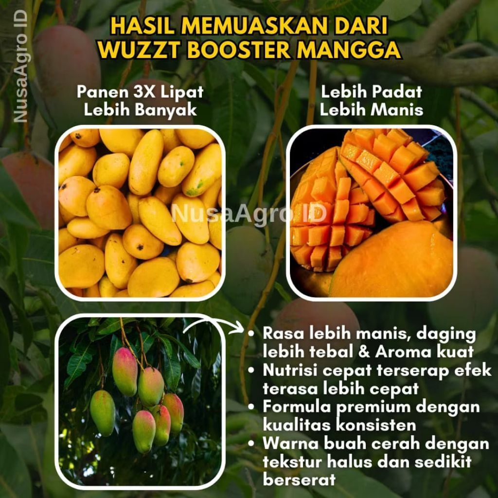 WUZZT BOOSTER MANGGA - Booster Mangga Cepat Berbuah, Perangsang Buah Lebih Lebat & Penyubur Tanaman