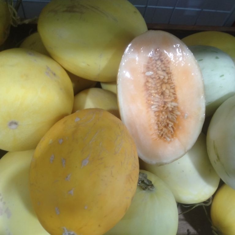 Buah Timun Mas segar