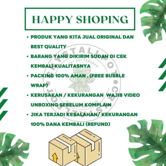 Gardener- Benih Bibit Caisim Manis Glory Benih Unggul Jara - Caisim Manis Glory