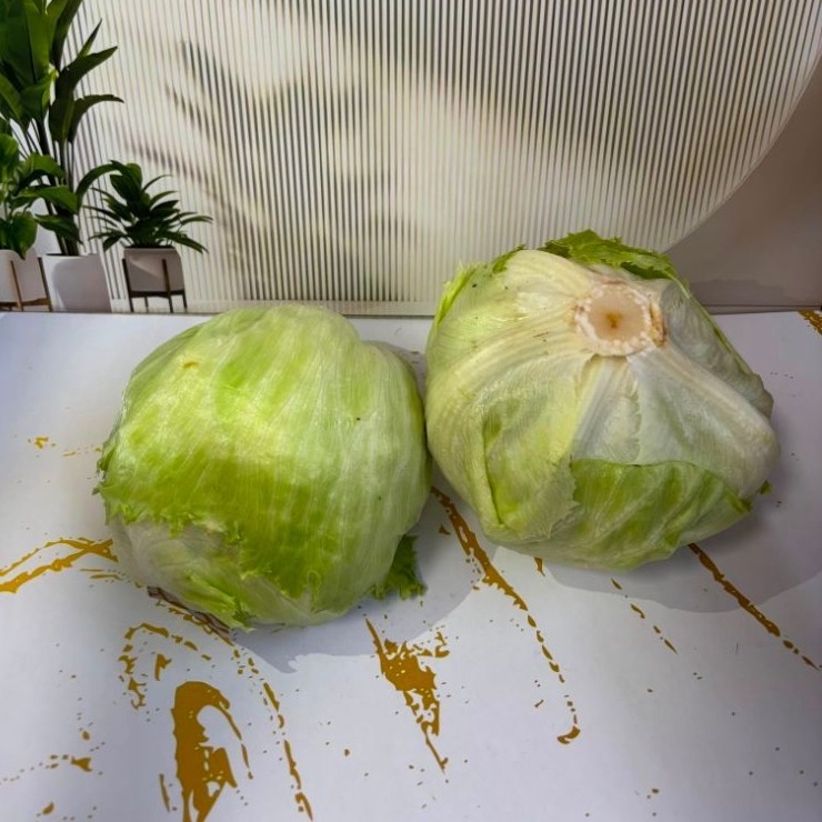Lettuce Head 1kg