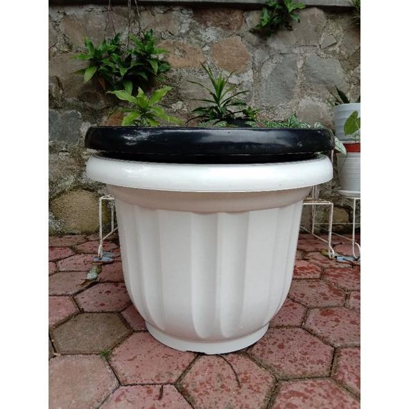POT JUMBO EBONNY PUTIH DIAMETER 60CM /POT BESAR GLORIA PUTIH 60CM