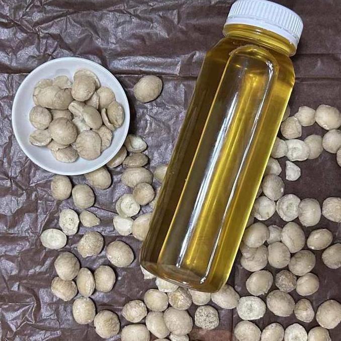 {{{{}}] Minyak Kacang Sacha Inchi 1kg