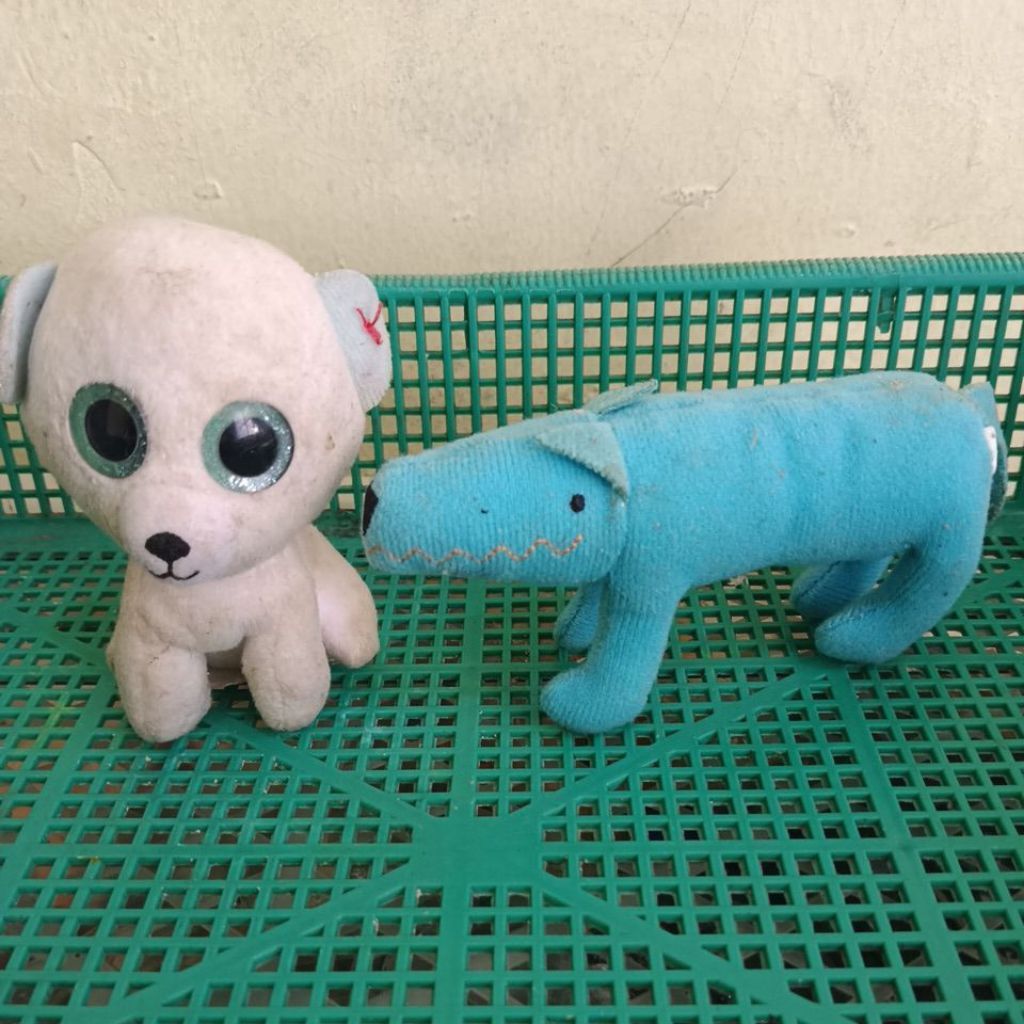 Boneka plush anjing putih mata besar dan gading biru mainan anak kotor PL star