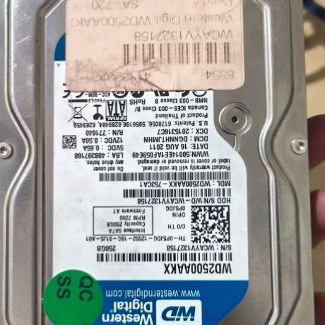 HARD DISK WD BLUE 250GB