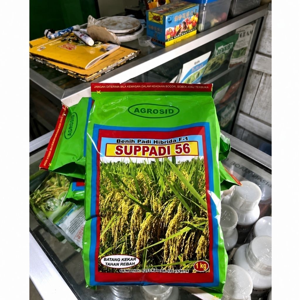 (PAKET HEMAT 2KG) BENIH PADI HIBRIDA SUPPADI 56 ORIGINAL PRODUK