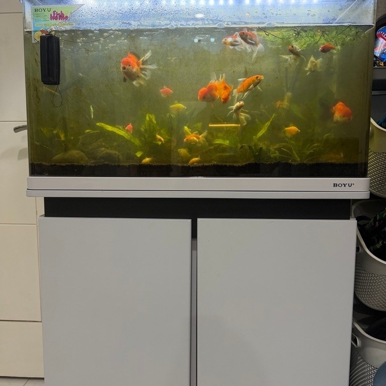 Boyu Aquarium Kabinet 128 Liter + Filter Tambahan Azko Preloved baru beli 3 bulan