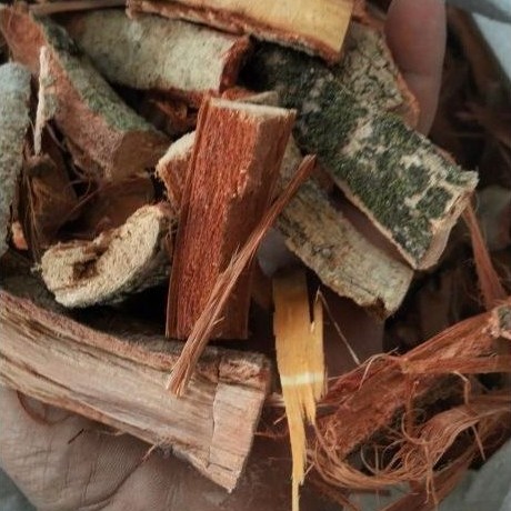Obat Diabetes Herbal Ampuh Kulit Jamblang