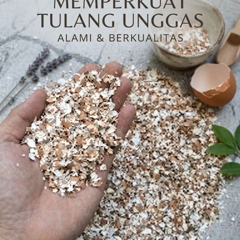 Grit Cangkang Telur Pakan Ayam Petelur Suplemen Kalsium Ayam Bangkok Aduan
