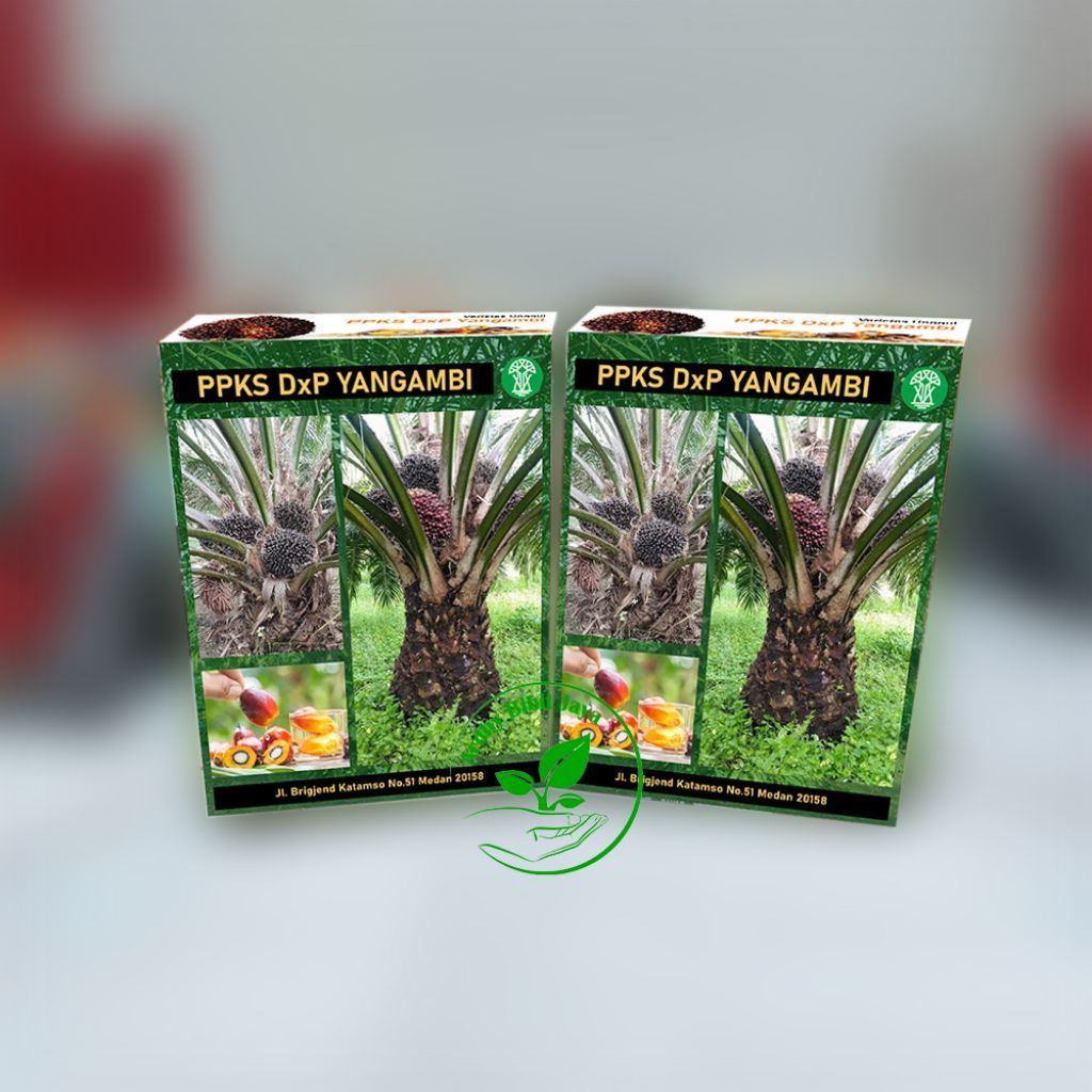 PPKS YANGAMBI ISI 250 BUTIR