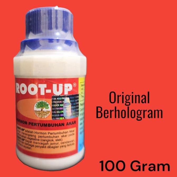 ROOT UP