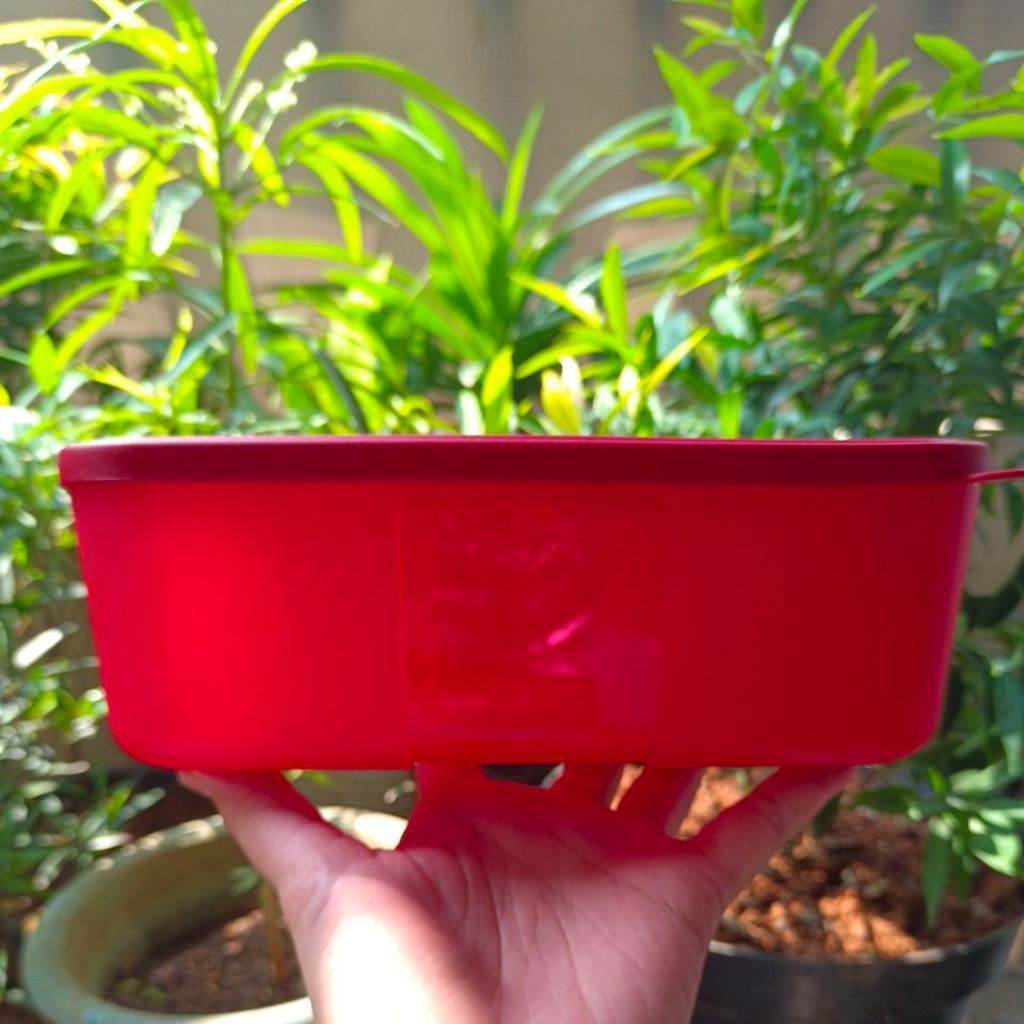 tissue box tupperware