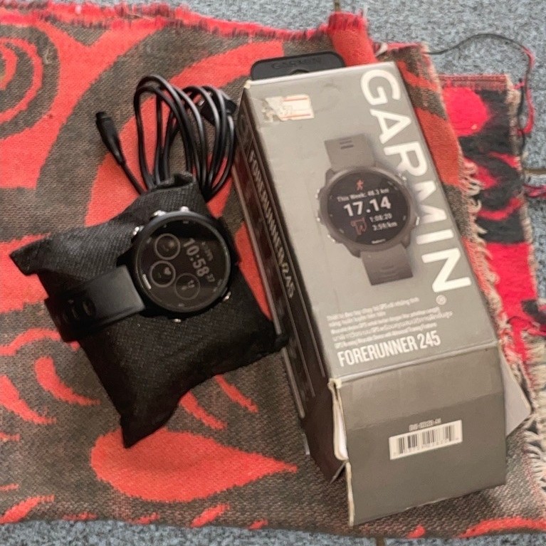 garmin fr 245 non music