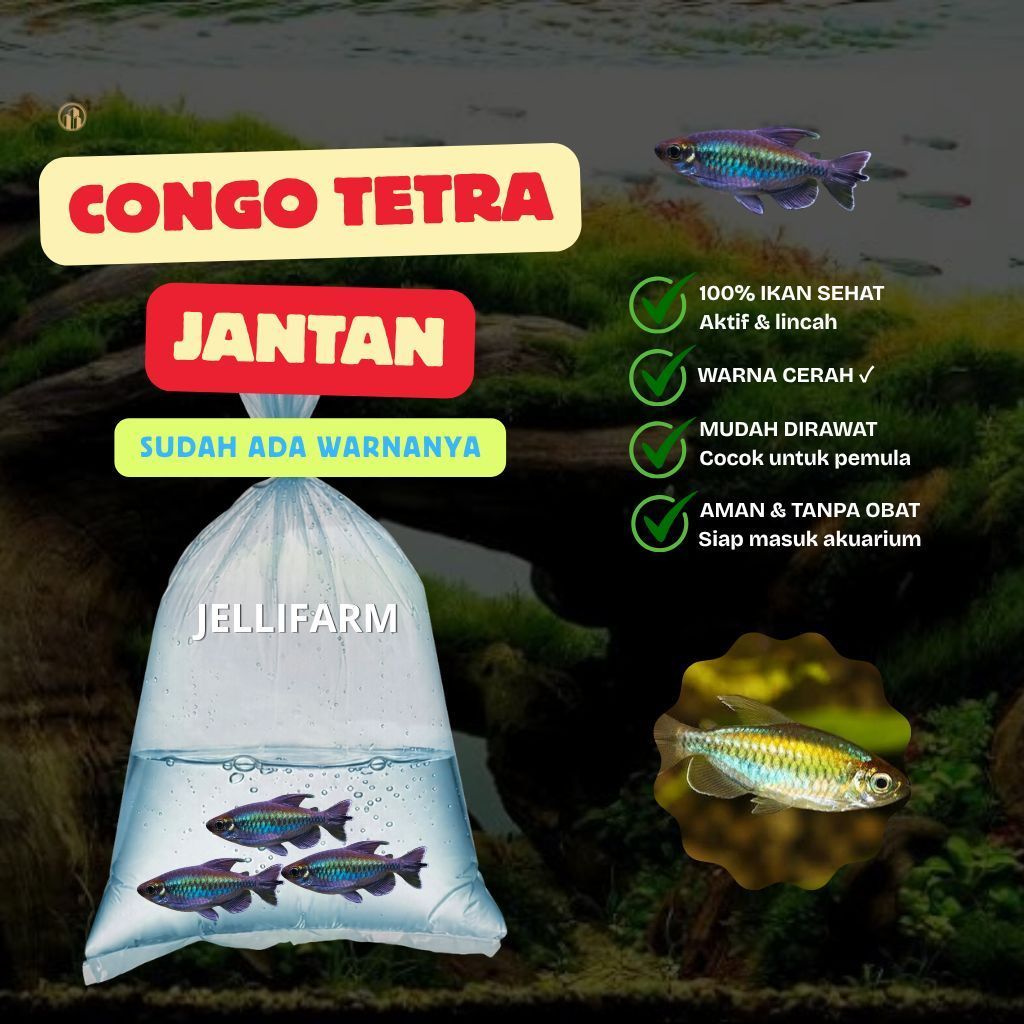 JELLIFARM - Congo Tetra isi 10