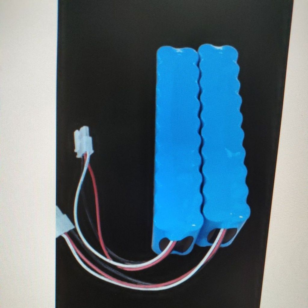 Battery ECG Bionet 12V