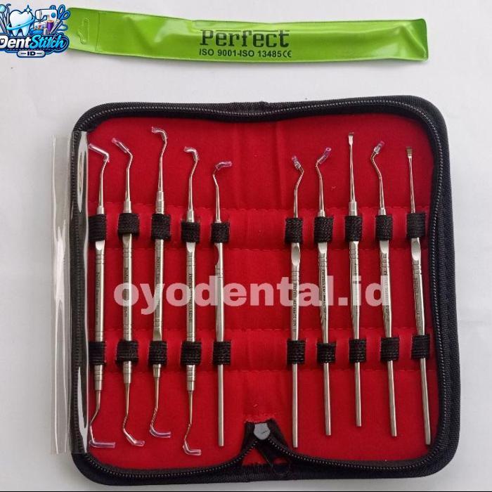 Dental  Set Kit / scaller kit instrument