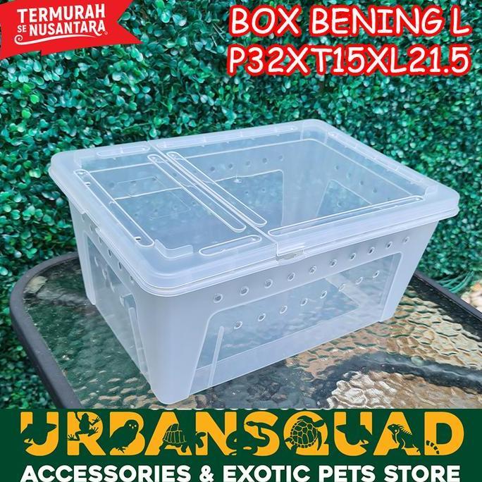 BOX BENING  KANDANG PACMAN BALL PHYTON RETIC KADAL